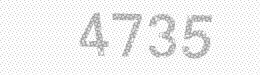 Visual security code — type the characters shown in the image