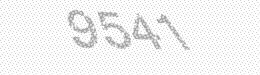Visual security code — type the characters shown in the image